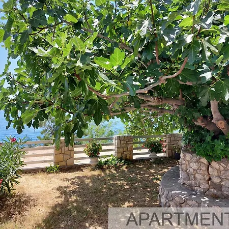 Apartmani Denis Stara Baska Exterior photo